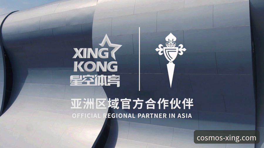 星空体育注册功能详解：新手vs老手的经验对比分析